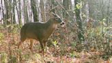 Hunting seasons get finalized but PGC wants to confirm which day is best for rifle opener