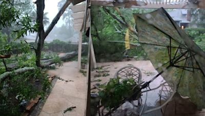 Tree falls in Kingwood resident's backyard as severe weather batters Houston, surrounding areas