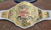 TNA Knockouts World Championship