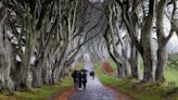 Ancient Trees Featured in ‘Game of Thrones’ Will Be Cut Down