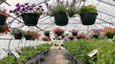 Welcome Mat: Plant and flower sales spring up all over