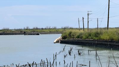 台南青山漁港航道護岸塌半年 旁邊是觀光景點扇形鹽田
