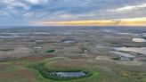Ducks Unlimited Conserves 1M Acres of Wetlands in a Year
