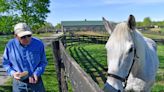 For ex-Derby winner Silver Charm, it’s a life of leisure and Old Friends at Kentucky retirement farm