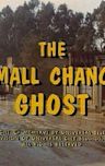 The Small Chance Ghost