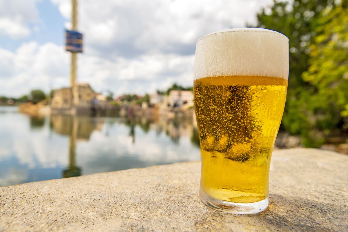 SeaWorld Orlando Bringing Back Free Beer This Summer