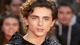 Timothée Chalamet In A24’s Next Project With Josh Safdie, Actor To Play Ping Pong Legend Marty Reisman