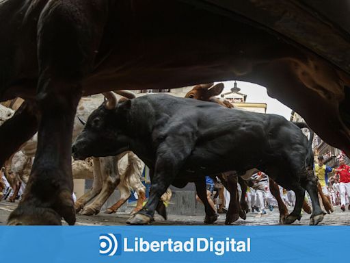 ¡Ya está aquí San Fermín! Todos los carteles y encierros de la Feria del Toro de Pamplona