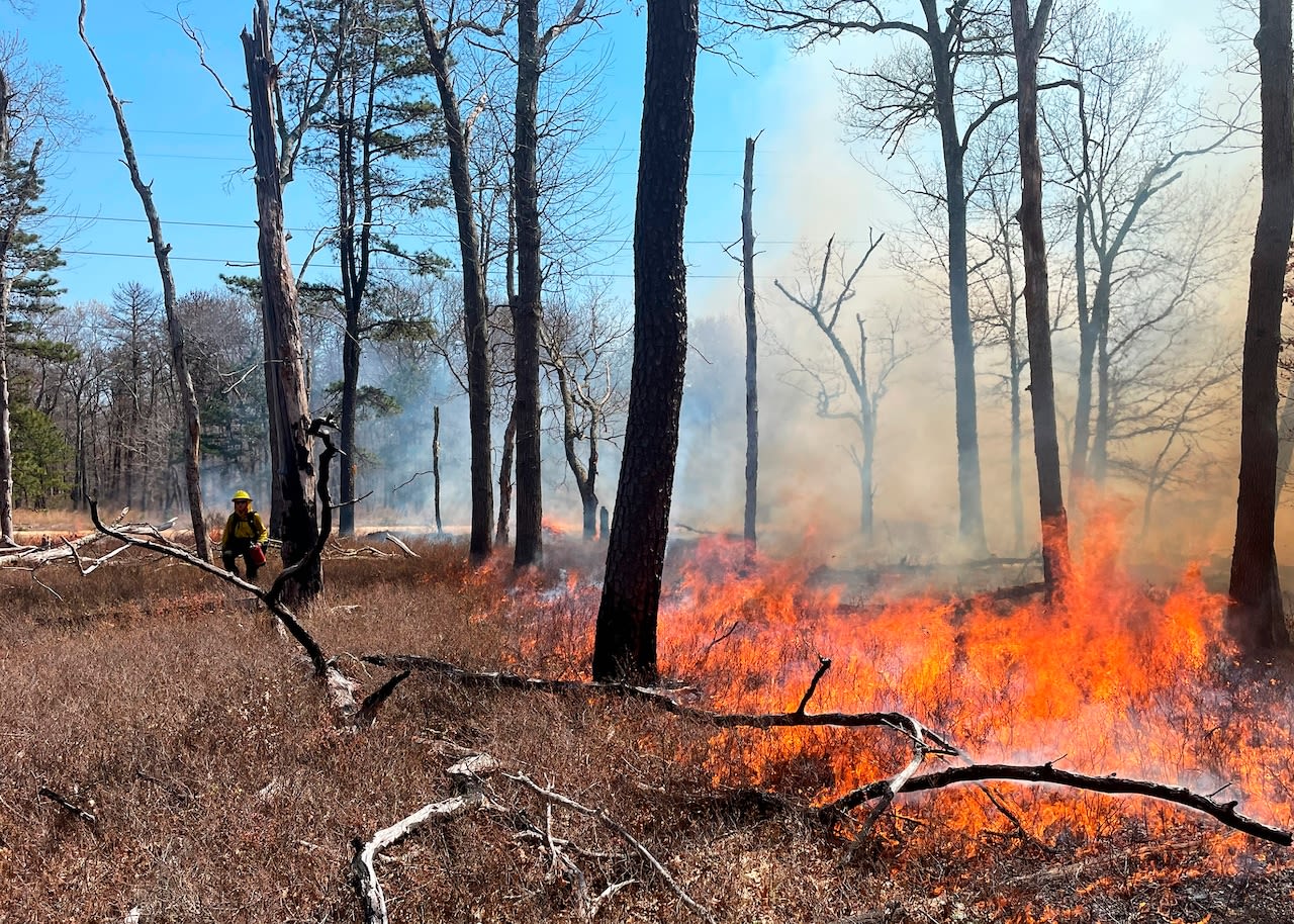 Forest rangers rescue injured ADK hikers; conduct prescribed fires on 100 acres