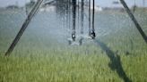 The Cost of farming: Irrigation expenses follow a unique set of rules