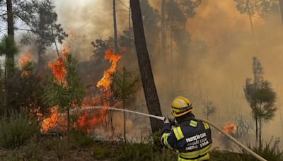 El Gobierno luso garantiza investigar las causas de los incendios y cómo se combatieron