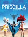 Priscilla - La regina del deserto