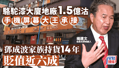 「屏幕大王」1.5億承接駱駝漆大廈地廠 鄧成波家族持貨14年 貶值近60%