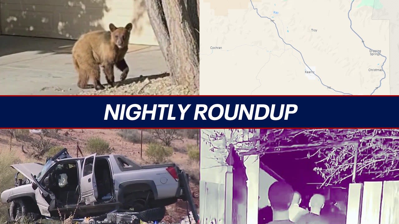 Bear spotted in Prescott Valley, Simmons Fire causes evacuations and road closures | Nightly Roundup