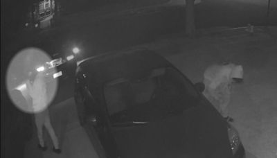 Thieves steal catalytic converter from Gardena driveway