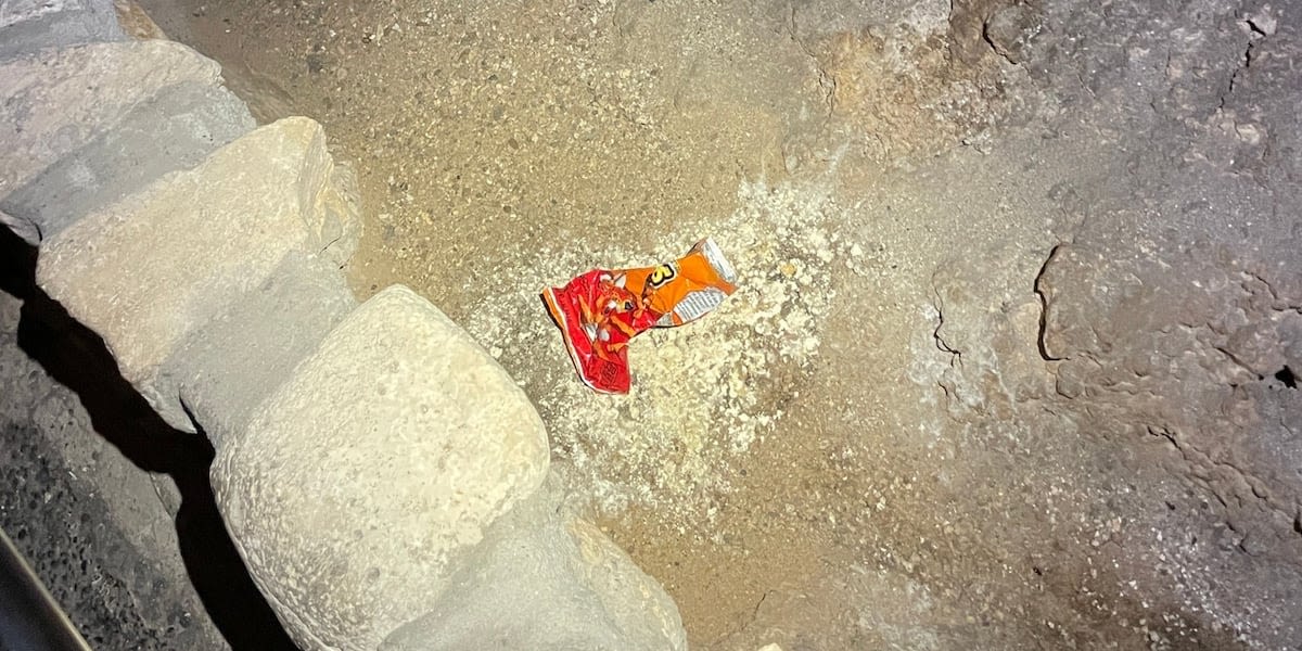 Bag of Cheetos created a huge impact on a national park ecosystem