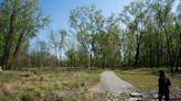 Wildlife, residents returning to newly restored Teaneck Creek Conservancy