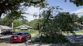 After storms devastate Dallas trees, some welcome news for how we’ll start replacing them