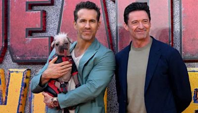 Deadpool & Wolverine Star Dogpool’s Owner Says Ryan Reynolds ‘Loved’ Her