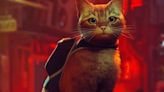 ¡Adorables! Gatitos reaccionan a Stray, el juego del momento en PlayStation y PC