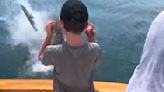 Great white shark exploding on bass a lesson for Cape Cod anglers