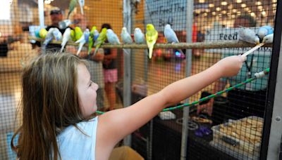 First day of the 2024 Oklahoma State Fair features feathered friends, new attractions