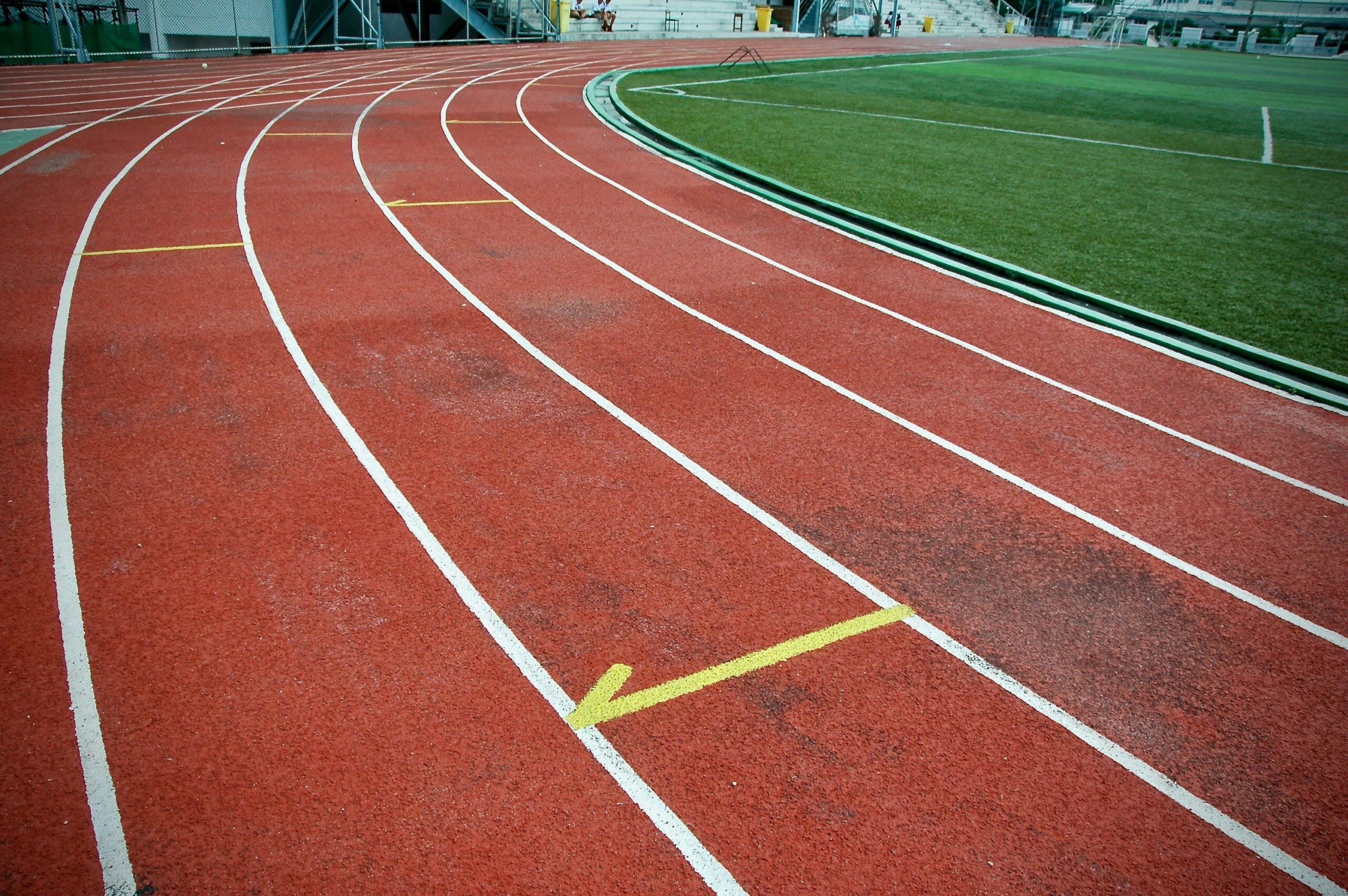 Boyle boys, girls sweep regional track titles - The Advocate-Messenger