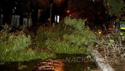 La Nación / A 16 años de una tormenta que sacudió Asunción y el departamento Central