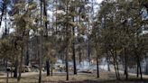 Team combs fire-ravaged community for human remains