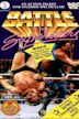 Battle of the WWF Superstars