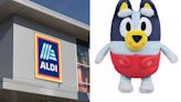 All the bargains in Aldi’s middle aisle this week - including £6.99 Bluey toys