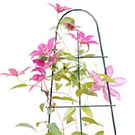 Constructed from durable materials such as steel or wrought iron Available in various designs, including geometric shapes and intricate scrollwork Can be powder-coated for added protection against rust and weather damage Suitable for climbing plants such as vines, jasmine, and wisteria