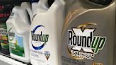 Bayer seeks legal shield from suits claiming Roundup causes cancer