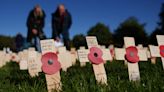 Veteran ‘humbled’ as largest field of remembrance opened by Royal British Legion
