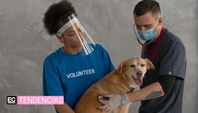 En el Día Mundial del Veterinario reconocemos la labor de los cuidadores de los ‘peludos’