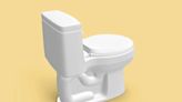 What Exactly Is a Bidet Toilet?