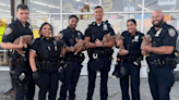 Video capta momento en que NYPD salva cachorros de saco sofocante, empapado de orina