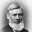 Asa Gray