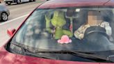Arizona Grinch Gets Pulled Over In The Carpool Lane