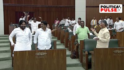 Why at CM Chandrababu Naidu’s call, 160-odd MLAs stood up in Andhra Assembly