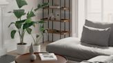 5 indoor plants that minimalists love – and that capture the mood of a pared-back decorating scheme