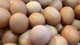 國產蛋、中國進口蝦仁檢出禁藥！食藥署抽驗「禽畜水產」5件違規
