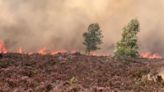 Fire safety warning issued as blaze breaks out at Hankley Common in Surrey