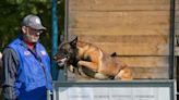 Unsung Heroes: Veteran Beaver County dog trainer ‘helps ease pain’