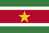 Flag of Suriname