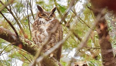 April is the best month to visit wetlands. Here's why