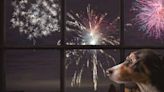 If Your Pet Is Terrified Of Fireworks, These Expert-Recommended Products Can Really Help