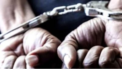 Twin brothers in Delhi held for chain-snatching in Burari, motorcycle seized