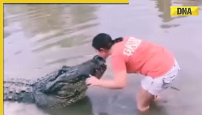 Viral video: Woman plants kiss on giant crocodile's head, leaves internet In disbelief