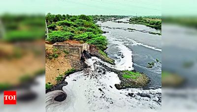 Gujarat High Court Orders Inspections to Control Sabarmati River Pollution | Ahmedabad News - Times of India